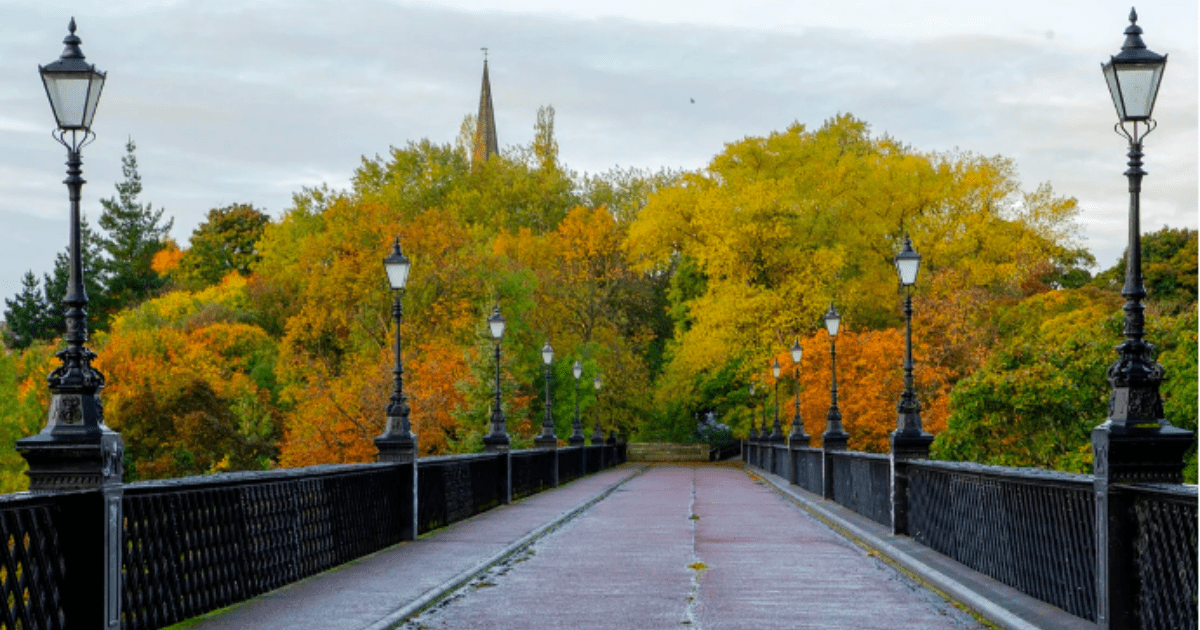 Neighbourhood Guide Jesmond